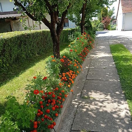 Apartman Skudar เบียโลวาร์ ภายนอก รูปภาพ