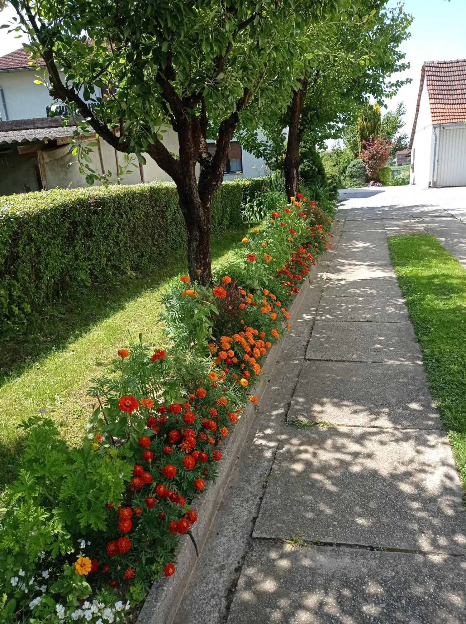 Apartman Skudar เบียโลวาร์ ภายนอก รูปภาพ